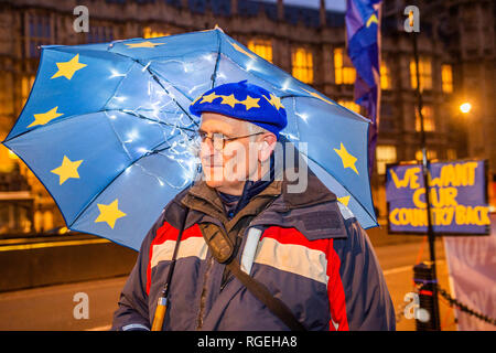 London, Großbritannien. 29. Januar, 2019. Verlassen bedeutet verlassen und SODEM, pro EU, Demonstranten weiterhin ihre Punkte, Seite an Seite zu machen, außerhalb des Parlaments wie die nächste Abstimmung über Theresa's kann Plan soll an diesem Abend. Credit: Guy Bell/Alamy leben Nachrichten Stockfoto