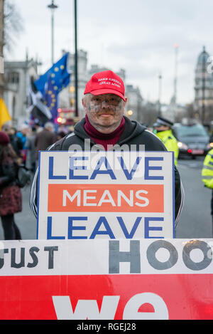 London, Großbritannien. 29. Januar 2019. Demonstranten für die Bleiben und Seite verlassen protestierten Seite an Seite außerhalb des Parlaments heute, Warten auf die verschiedenen Anträge, über die im House of Commons gewählt wird. Credit: Ilyas Ayub/Alamy leben Nachrichten Stockfoto