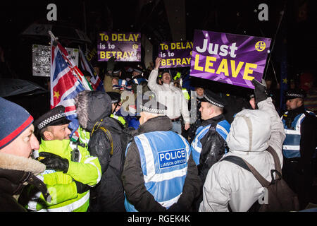 London, Großbritannien. 29. Januar, 2019. Rival pro- und anti-Brexit Demonstranten sammeln außerhalb des Parlaments in der Regen als MPs Abstimmung über Änderungsanträge zum Finale des Ministerpräsidenten Brexit Rückzug Abkommen, das den Inhalt der nächsten Stufe der Verhandlungen mit der Europäischen Union bestimmen konnte. Credit: Mark Kerrison/Alamy leben Nachrichten Stockfoto