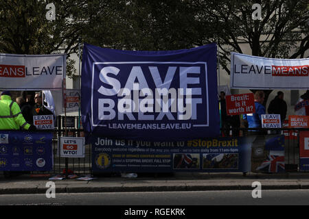 London, Großbritannien. 29. Januar, 2019. Große Anzahl von Brexiteers zeigte sich heute die Schaffung eines bunten und lauten Protest vor dem Parlament, London, UK. Credit: Joe Kuis/Alamy leben Nachrichten Stockfoto