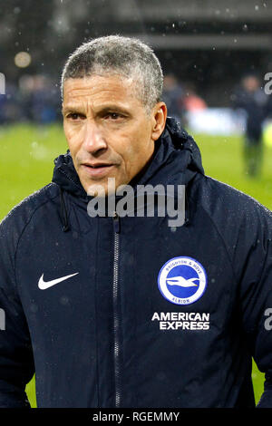 London, Großbritannien. 29. Januar, 2019. Brighton Manager Chris Hughton während der Premier League Match zwischen Fulham und Brighton und Hove Albion im Craven Cottage, London, England am 29. Januar 2019. Foto von Carlton Myrie. Nur die redaktionelle Nutzung, eine Lizenz für die gewerbliche Nutzung erforderlich. Keine Verwendung in Wetten, Spiele oder einer einzelnen Verein/Liga/player Publikationen. Credit: UK Sport Pics Ltd/Alamy leben Nachrichten Stockfoto