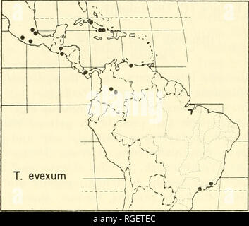 . Bulletin des Museums für Vergleichende Zoologie an der Harvard College. Zoologie. 98 BULLETIN: Museum für Vergleichende Zoologie Omilteme, Guerrero, im British Museum, Natural History). Theridion elecium, F. S. Cambridge, 1902, Ibi 4., Bd. 2, S. 390, Pi. 36, Abb. 27, $. Theridion cahriolaUiin FranganUlo, 1930, Mas Araenidos Nuevos de Cuba, S. 12, Abb. 4, 9 (5 Arten von Sierra Maestra, Kuba). Roewer, 1942, Katalog der Araneae, Bd. 1, S. 490. Neue SYNONYMIE. Kommentar. Diese große bunte Art hat eine dorsale Abdominal- Muster wie T. pictipes. Die Ventrale Seite des Abdomens hat einen weißen Punkt frame Stockfoto