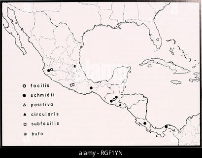 . Bulletin des Museums für Vergleichende Zoologie an der Harvard College. Zoologie. Hamataliwa in Mexiko und Mittelamerika • Brady 95. Karte 3 21-29 Juli 1950, S: 8 9 9, 23-28 12.08.1950, 4 $ 5:9 (A. M. CHICKERING). Hamataliwa facilis (O. P.-Cambridge) Zahlen 44, 94-98. Karte 3. Oxyopeidon facile O. P.-Cambridge, 1894, Biologia Centrali-Americana, Spinnen, Araneidea, 1:140, Pi. 16, Abb. 6, 6a-6c, 9. Weibliche holotypus von Chilpancingo, Guerrero, Mexiko, im British Museum (Natural History), untersucht. Hamataliwa facilis F. O. P.-Cambridge, 1902, Bio-logia Centrali-Americana, Spinnen, Araneidea, 2:349, Pi Stockfoto