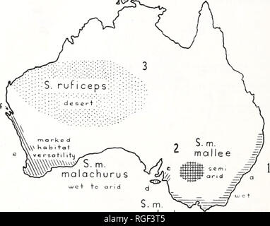 . Bulletin des Museums für Vergleichende Zoologie an der Harvard College. Zoologie. 368 BULLETIN: Museum für Vergleichende Zoologie (littleri), Kangaroo Island (halniaturinns), Mount Kompass Bereich von South Australia (intermedins), südwestliche Australien (westemensis) und Dirk Hartog Insel (hartogi). (B) Es gibt eine interessante Demonstration eines ökologischen Übergang df. S. m. malachuru s STIPITURUS MALACHURUS ai e+ SUPER ARTEN Abb. 19. Isolation, Speziation und Lebensraum Differenzierung, in der Wwu-zaunkönige der Gattung Stipiturus. S. malachurus (1), eine verschwiegene Arten mit dichtem Unterholz, ich Stockfoto