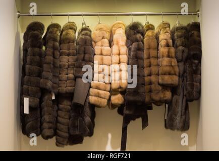 Verschiedene weibliche Pelzmäntel auf Kleiderbügeln im Fell shop zum Verkauf. Stockfoto