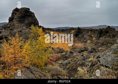 Alten vulkanischen Gebiet von Dimmuborgir in Island Stockfoto