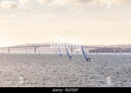 Viele Segelboote in der Dämmerung in den Hafen von Auckland, Auckland Harbour Bridge im Hintergrund. Stockfoto