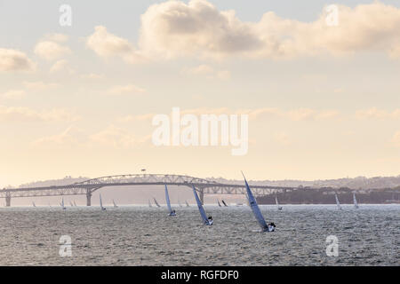 Viele Segelboote in der Dämmerung in den Hafen von Auckland, Auckland Harbour Bridge im Hintergrund. Stockfoto