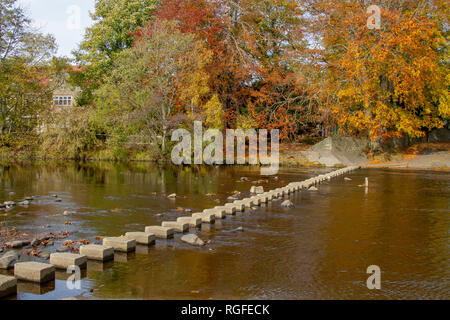 Fluss im Stanhope in gewohnt County Durham im Herbst tragen Stockfoto