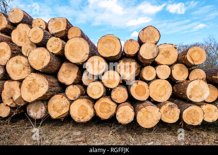 Brennholz für den Winter, Stapel von Brennholz, Haufen von Brennholz. Holz- Hintergrund closeup an der Holz verarbeitenden Betrieb Stockfoto