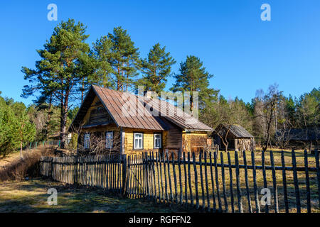 Alte hölzerne Country House in der Russischen outback Dorf in der Morgendämmerung in den Pinienwald. Ökologischer Tourismus und Erholung Stockfoto