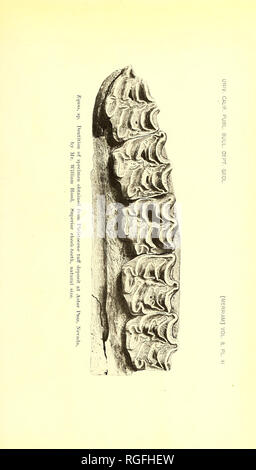 . Bulletin der Abteilung für Geologie. Geologie. . Bitte beachten Sie, dass diese Bilder sind von der gescannten Seite Bilder, die digital für die Lesbarkeit verbessert haben mögen - Färbung und Aussehen dieser Abbildungen können nicht perfekt dem Original ähneln. extrahiert. Universität von Kalifornien, Berkeley. Abt. der Geologie. Berkeley: University Press Stockfoto