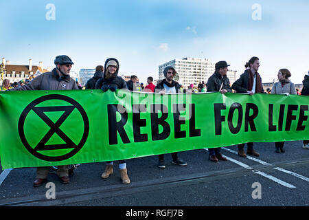 Aussterben rebellion Protest gegen Klimawandel auf die Westminster Bridge November 2018. Stockfoto