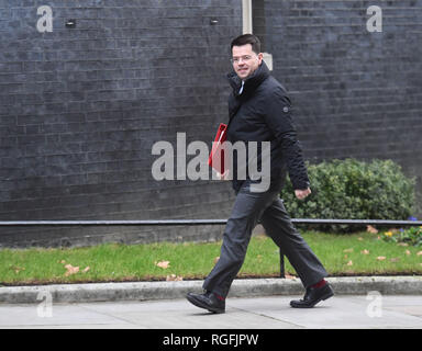 Gehäuse Staatssekretär James Brokenshire kommt in Downing Street, London, für eine Sitzung. Stockfoto