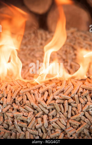 Brennende eiche pellets, Holz- Biomasse in Flammen Stockfoto