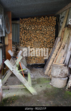 Ungewürzt brennholz Luft Trocknen im Holzschuppen. Stapel frisch geschnitten und split Feuer Holz mit Herz Form mit kontrastierenden Umläufe und Splits gebaut. Stockfoto