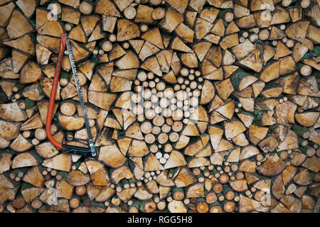 Ungewürzt brennholz Luft Trocknen im Holzschuppen. Bügelsäge hängen von Schnitt und split Feuer Holz mit Herz Form mit kontrastierenden Umläufe und Splits gebaut. Stockfoto