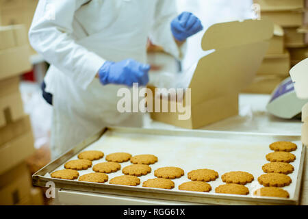 In Schutzkleidung Workier arbeiten in den cookies Factory Stockfoto