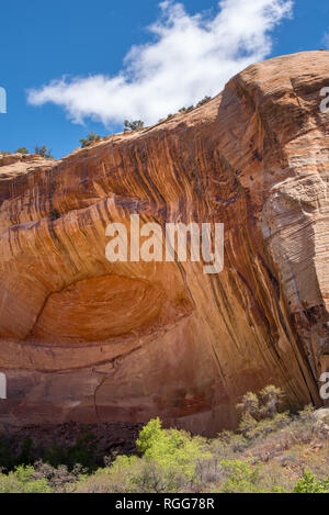 Hoch aufragenden roten Felswand mit gemalten Funktionen und Natural Arch at Lower Calf Creek im Grand Staircase Escalante National Park, Utah Stockfoto