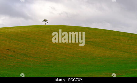 Die andalusische Landschaft - innerhalb der Parque Natural de los Alcornocales, Andalusien, Spanien Stockfoto