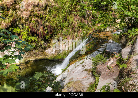 Allerheiligen Wasserfälle, Stadt Oppenau, Nördlicher Schwarzwald, Deutschland, unteren Teil der Wasserfälle Stockfoto