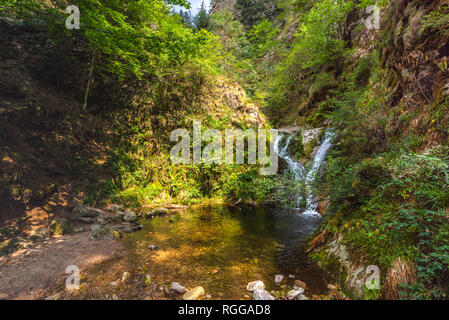 Allerheiligen Wasserfälle, Stadt Oppenau, Nördlicher Schwarzwald, Deutschland, unteren Teil der Wasserfälle Stockfoto