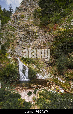 Allerheiligen Wasserfälle, Stadt Oppenau, Nördlicher Schwarzwald, Deutschland Stockfoto