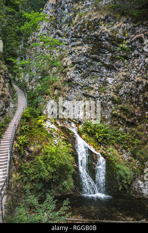 Allerheiligen Wasserfälle, Stadt Oppenau, Nördlicher Schwarzwald, Deutschland, Wanderweg durch die Schlucht Stockfoto