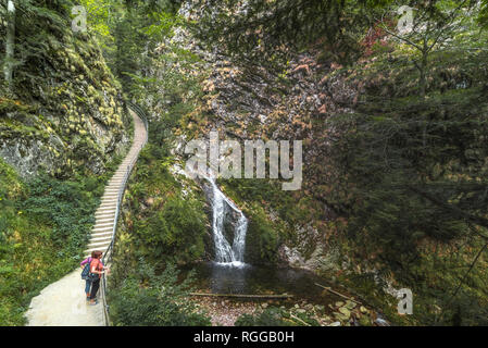 Allerheiligen Wasserfälle, Stadt Oppenau, Nördlicher Schwarzwald, Deutschland, Besucher in die Schlucht fällt ansehen Stockfoto