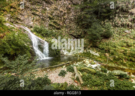 Allerheiligen Wasserfälle, Stadt Oppenau, Nördlicher Schwarzwald, Deutschland Stockfoto