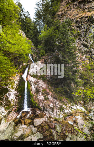 Allerheiligen Wasserfälle, Stadt Oppenau, Nördlicher Schwarzwald, Deutschland, obere Partie Stockfoto