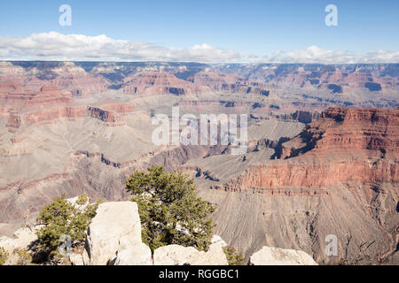Blick auf den Grand Canyon aus Pima Point Pima ist der letzte Punkt entlang dem West Rim Drive, obwohl die Straße weiter 1,5 km weiter, an Ihrem Ende Stockfoto