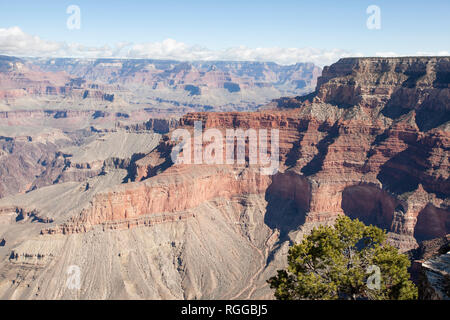 Blick auf den Grand Canyon aus Pima Point Pima ist der letzte Punkt entlang dem West Rim Drive, obwohl die Straße weiter 1,5 km weiter, an Ihrem Ende Stockfoto