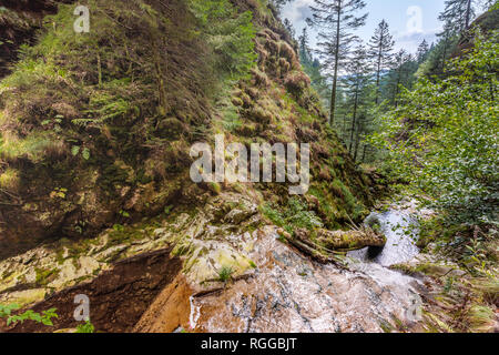 Allerheiligen Wasserfälle, Stadt Oppenau, Nördlicher Schwarzwald, Deutschland, obere Partie Stockfoto