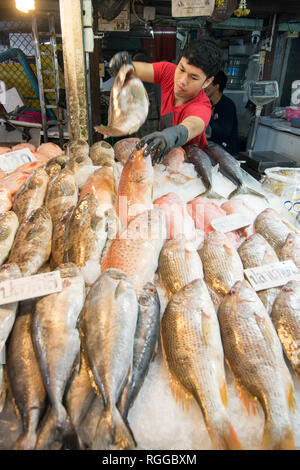 Frische Meeresfrüchte und Fisch auf dem Fischmarkt an der Naklua Fischmarkt in der Stadt in der Provinz Chonburi Pattaya in Thailand. Thailand, Pattaya, Keine Stockfoto