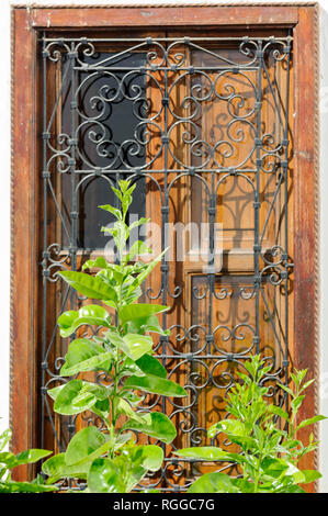 05-03-15, Marrakesch, Marokko. Das Riad Porte Royale. Eine orange Baum vor der Fenster mit Metall Sicherheit Grills. Foto: © Simon Grosset Stockfoto
