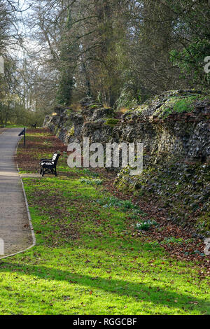 Länge der Römischen Stadtmauer in Verulamium Park, St. Albans, England Stockfoto