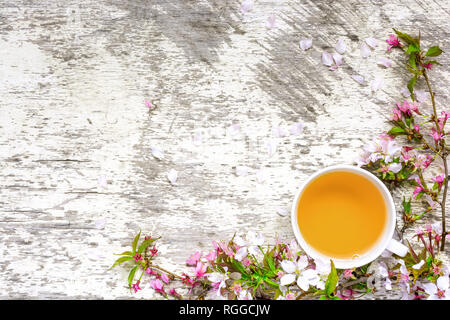 Tasse grünen Tee und Zweige der blühenden Sakura und Kirsche auf weißen Holzmöbeln im Landhausstil Hintergrund. Blüte Frühling Tee. Ansicht von oben mit der Kopie Raum Stockfoto
