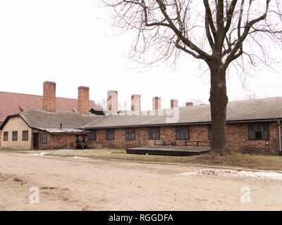 Küchenblock, Konzentrations- und Vernichtungslager Auschwitz, Oswiecim, Polen Stockfoto