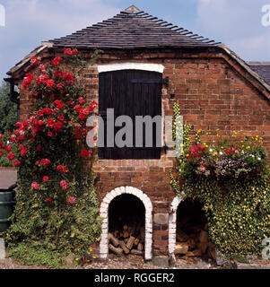 Rote kletternde Rosen und Efeu an der Wand der alten Scheune Stockfoto