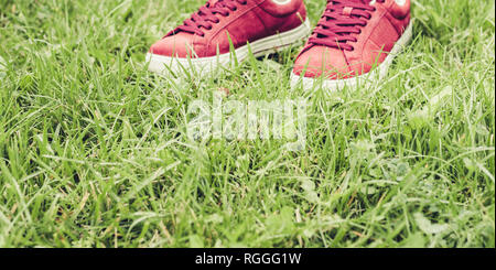 Paar Sportschuhe von rosa Wildleder die auf dem Gras in Park Stockfoto