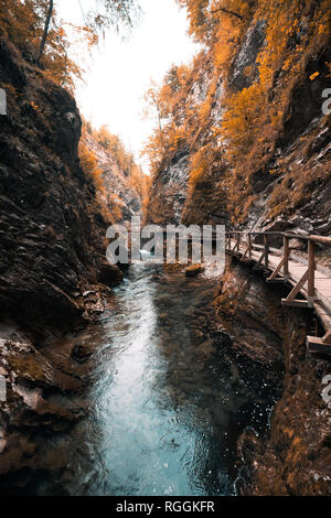 Schlucht Vintgar und Holz- Pfad, Bled, Slowenien mit Herbstfarben Stockfoto