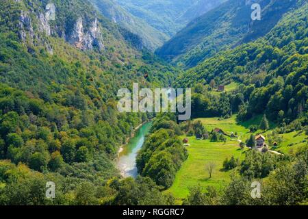 Die Schlucht des Flusses Tara, Tara, Tara Brücke in Durdevica, Nationalpark Durmitor, Montenegro Pljevlja Provinz, Stockfoto