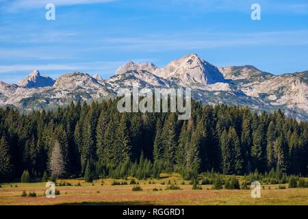 Durmitor Massiv, Durmitor Nationalpark, in der Nähe von Zabljak, Montenegro Stockfoto