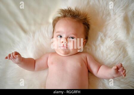 Kind, drei Monate, für Pelze, Porträt, Baden-Württemberg, Deutschland Stockfoto