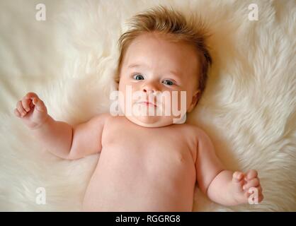 Kind, drei Monate, für Pelze, Porträt, Baden-Württemberg, Deutschland Stockfoto