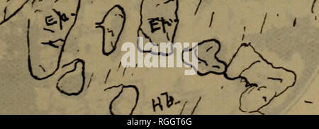 . Bulletin der geologischen Gesellschaft von Amerika. Geologie. . Bitte beachten Sie, dass diese Bilder sind von der gescannten Seite Bilder, die digital für die Lesbarkeit verbessert haben mögen - Färbung und Aussehen dieser Abbildungen können nicht perfekt dem Original ähneln. extrahiert. Geologische Gesellschaft von Amerika. [New York: Die Gesellschaft] Stockfoto