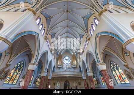 Interieur mit Orgelempore, die Kathedrale des Heiligen Rosenkranzes Kathedrale aus dem 19. Jahrhundert im gotischen Stil, Downtown, Vancouver, Kanada Stockfoto