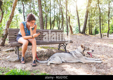 Junge Frau sitzt auf einer Bank im Wald am Handy suchen, während Ihr Hund auf dem Boden liegend Stockfoto