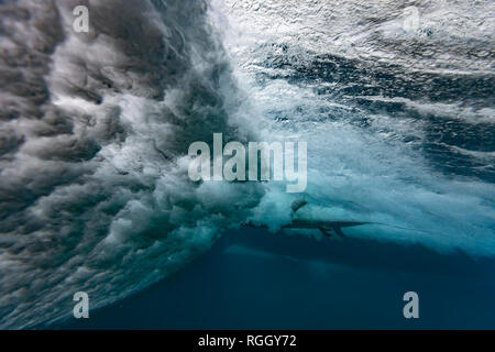 Malediven, unter Wasser Blick auf Wave, Unterwasser Schuß Stockfoto